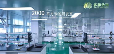 多美生物 技術(shù)賦能，實現(xiàn)“今日下單，明日出貨”的極致效率