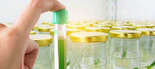 科學賦能，健康生活 康寶萊以材料科學研究引領健康消費新紀元